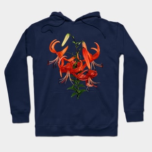 Lilies - Tiger Lilies Hoodie